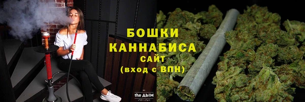 мдпв Магас