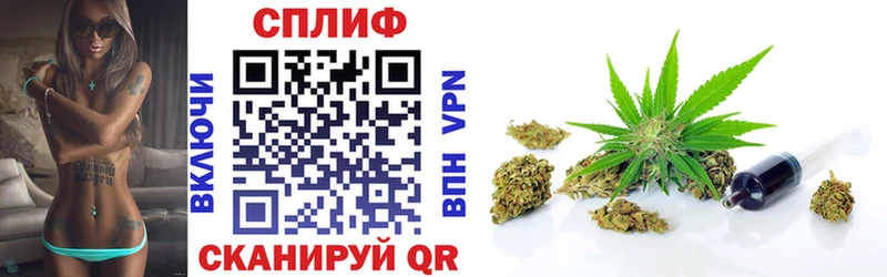 Шишки марихуана THC 21%  купить закладку  Старый Оскол 